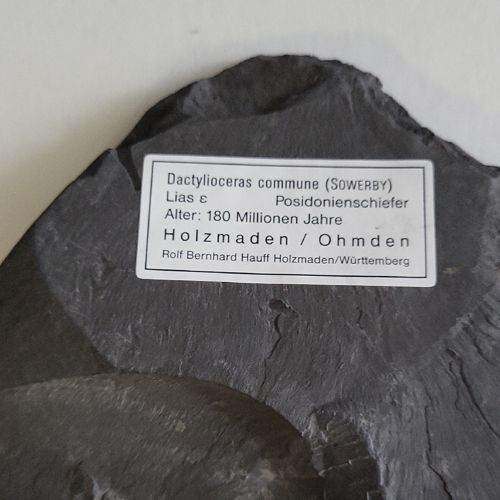 Natural Slate Home Accent